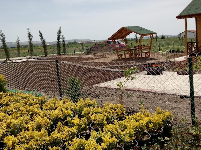 Lorem Ipsum Dolor Sit Amet 1