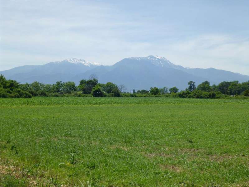 Lorem Ipsum Dolor Sit Amet 4