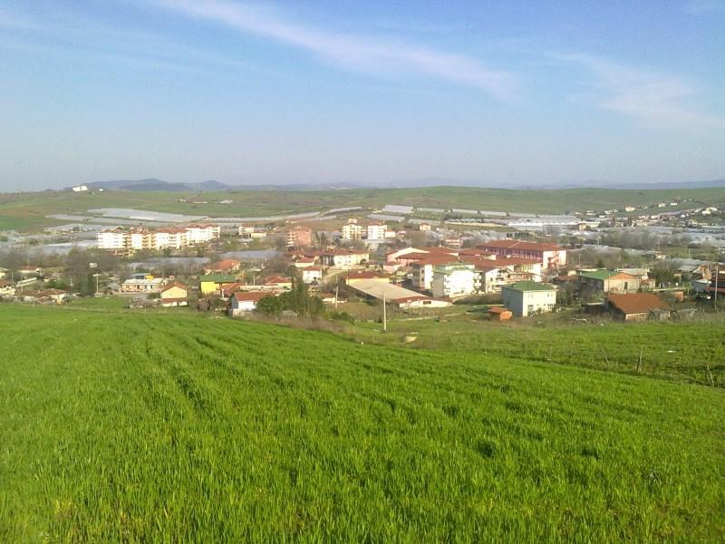 Lorem Ipsum Dolor Sit Amet 6